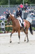 FEI European Championship Eventing 2019