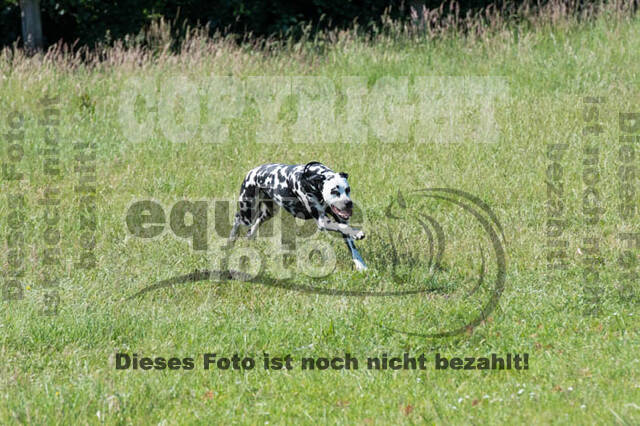 Tholi-Tour Lehrgang Vanessa Bölting