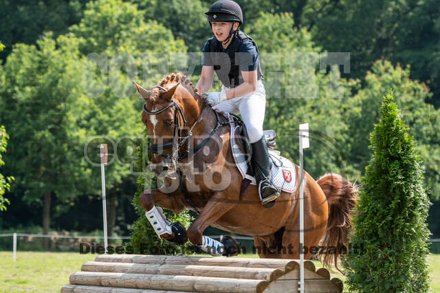 Goldene Schärpe 2021 - Ponys