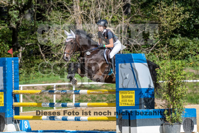 RFV Dinslaken-Hiesfeld (Herbstturnier)