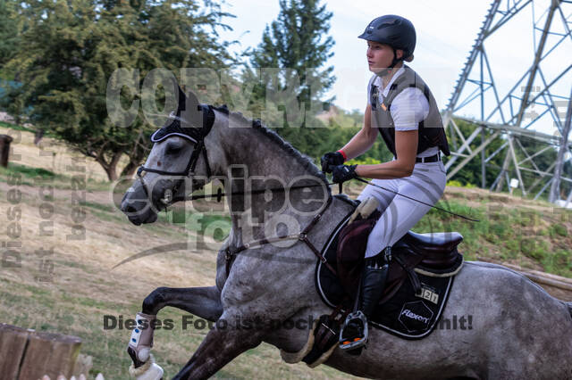 Late-Entry Vielseitigkeit Hamminkeln/Wesel (01.+02.08.2020)