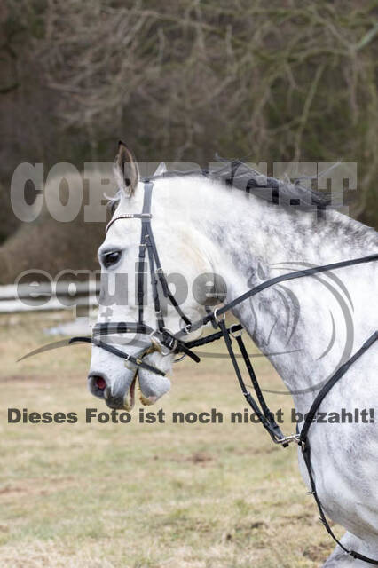 Geländetraining RSV St. Hubertus Wesel Obrighoven