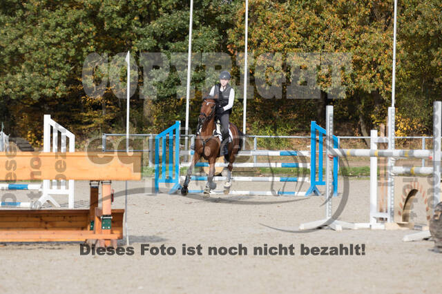 IGV Lehrgang der Sieger der Cups mit Frank Ostholt