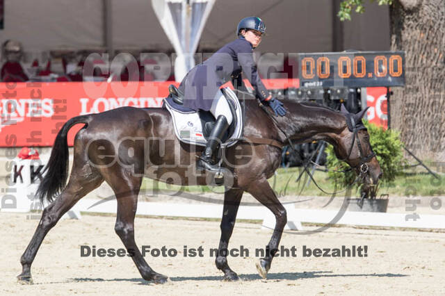 FEI European Championship