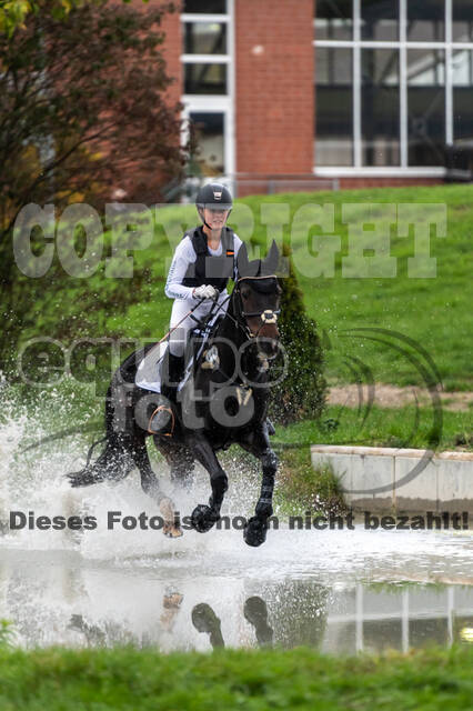 Goldene Schärpe 2020 - Pferde