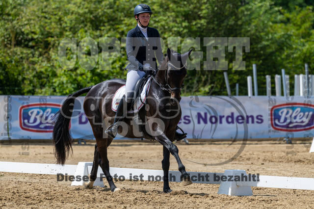 Westerstede Horse Trials 2021
