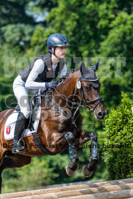Goldene Schärpe 2021 - Ponys