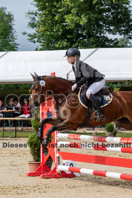 Goldene Schärpe 2021 - Ponys