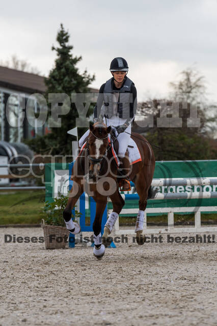 Eventing im Pferdesportzentrum Rheinland (Late Entry 14.03.2022)