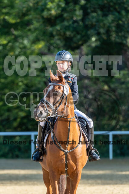 RFV Dinslaken-Hiesfeld (Herbstturnier)