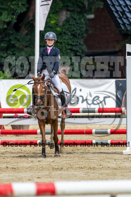 Goldene Schärpe 2021 - Ponys