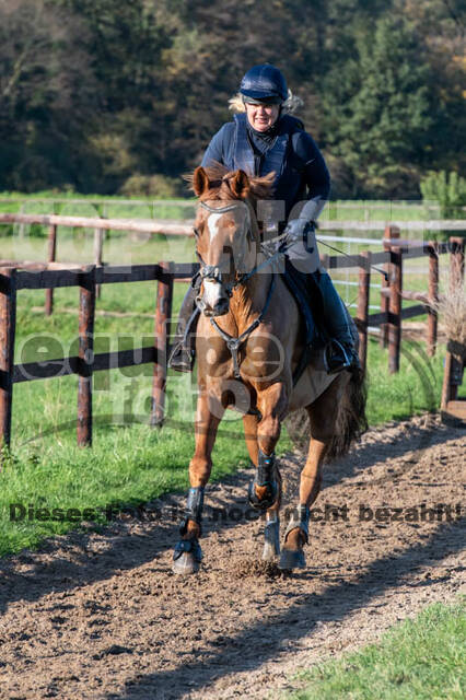 Vielseitigkeitslehrgang mit Jürg Kurbel (9.+10.11.2019)
