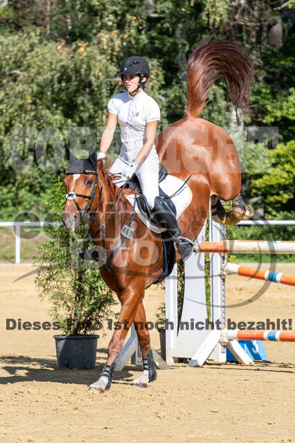 RFV Dinslaken-Hiesfeld (Herbstturnier)