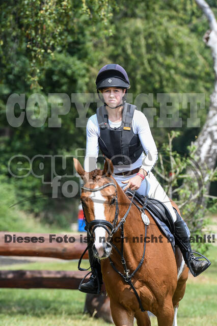 Late-Entry-Vielseitigkeit Langenfeld (11.+13./14.06.2020)