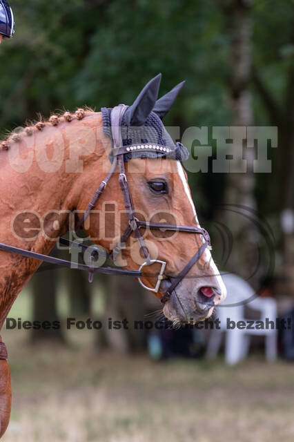 Late-Entry Vielseitigkeit Hamminkeln/Wesel (01.+02.08.2020)
