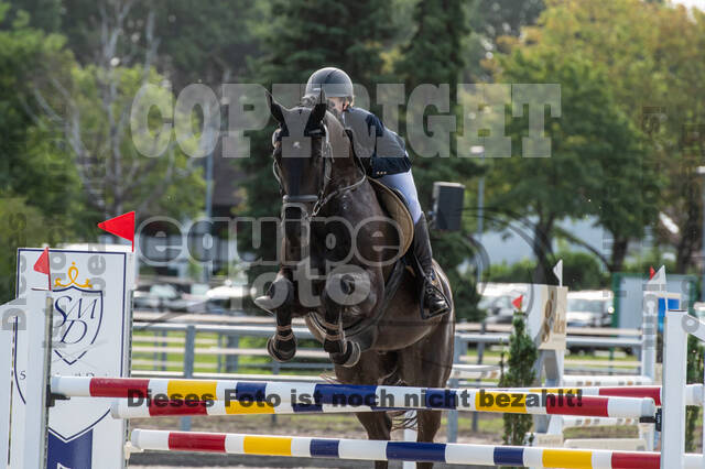 Landesturnier Rheinland, Vielseitigkeit, 22.+23.08.2020