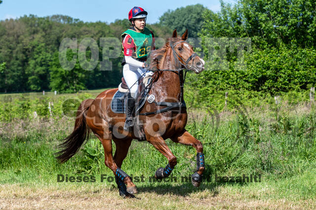 Westerstede Horse Trials (10.-13.06.2021)
