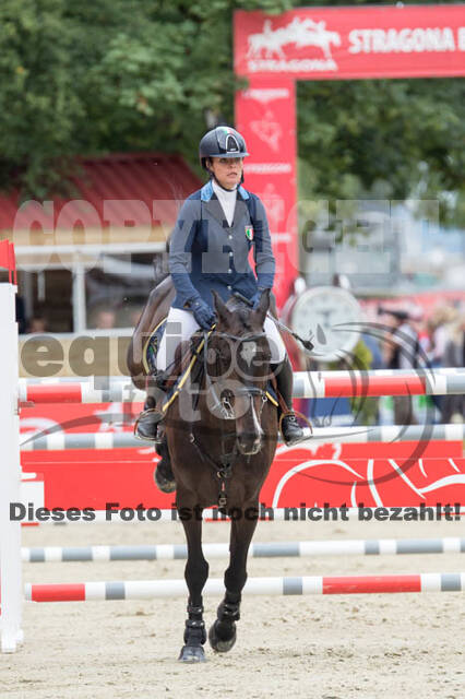 FEI European Championship