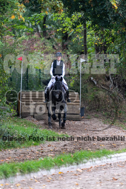 Goldene Schärpe 2020 - Pferde