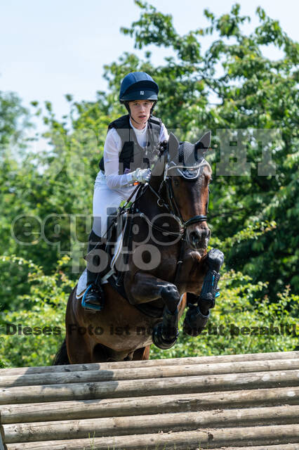 Goldene Schärpe 2021 - Ponys