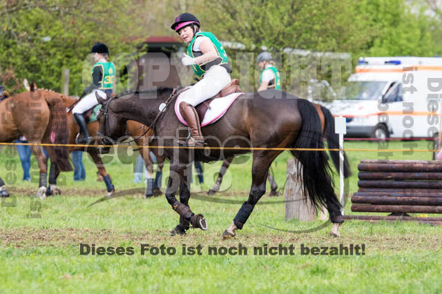 Vielseitigkeitsturnier RV Lippe-Bruch-Gahlen