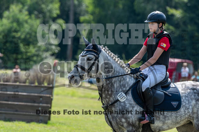 Goldene Schärpe 2021 - Ponys