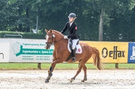 Goldene Schärpe 2021 - Ponys