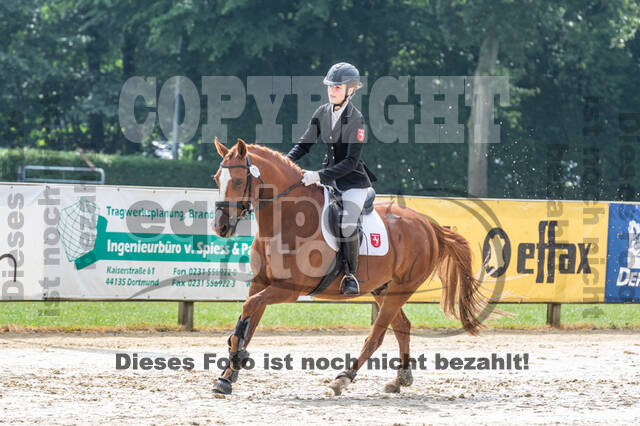 Goldene Schärpe 2021 - Ponys
