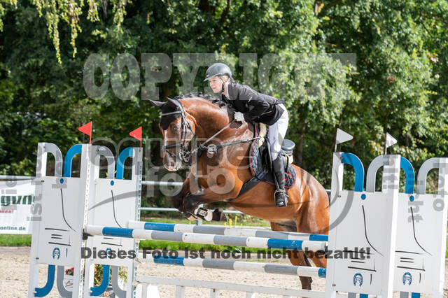 Late-Entry-Vielseitigkeit Langenfeld (06.+07.07.2020)