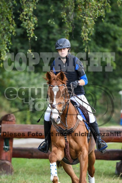 Late-Entry-Vielseitigkeit Langenfeld (11.+13./14.06.2020)