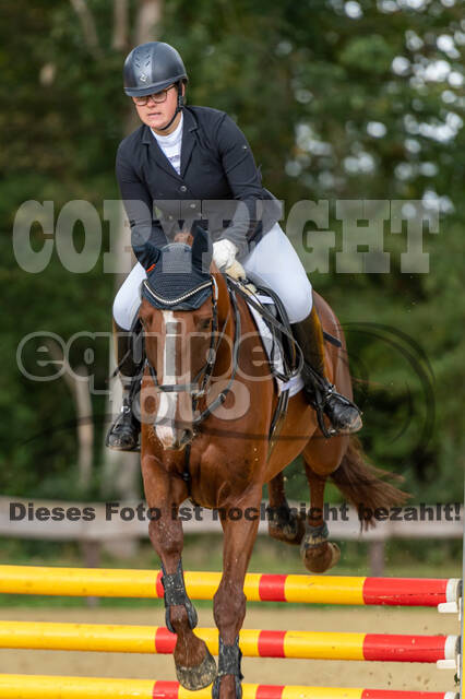 Vielseitigkeit RSV Wesel Obrighoven (26.+27.09.2020)