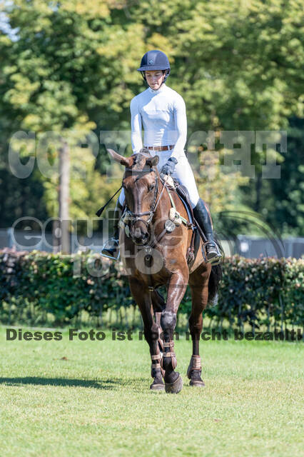 Kronenberg - De Peelbergen (August 2020)