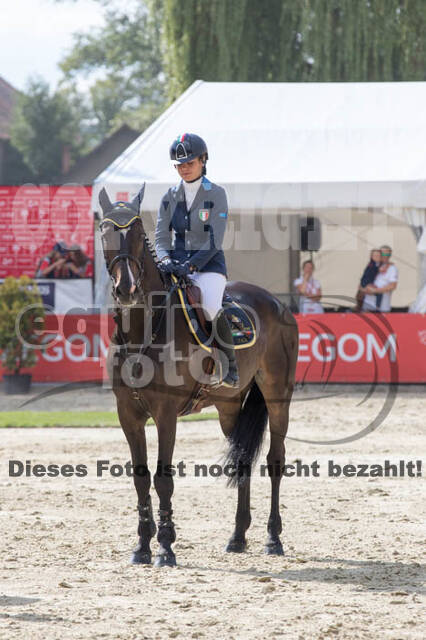 FEI European Championship