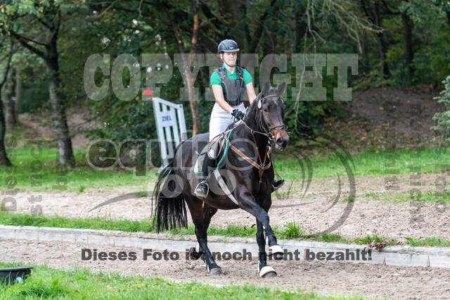 Goldene Schärpe 2020 - Pferde