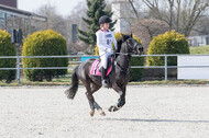 Eventing Langenfeld 2018