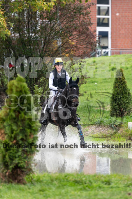 Goldene Schärpe 2020 - Pferde