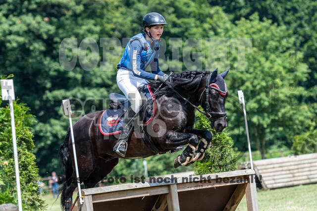 Goldene Schärpe 2021 - Ponys