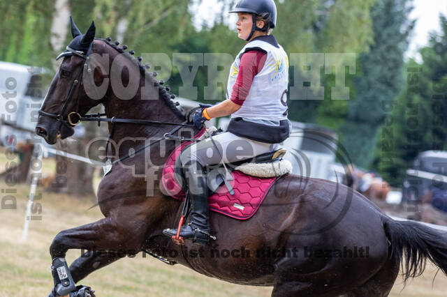 Late-Entry Vielseitigkeit Hamminkeln/Wesel (01.+02.08.2020)