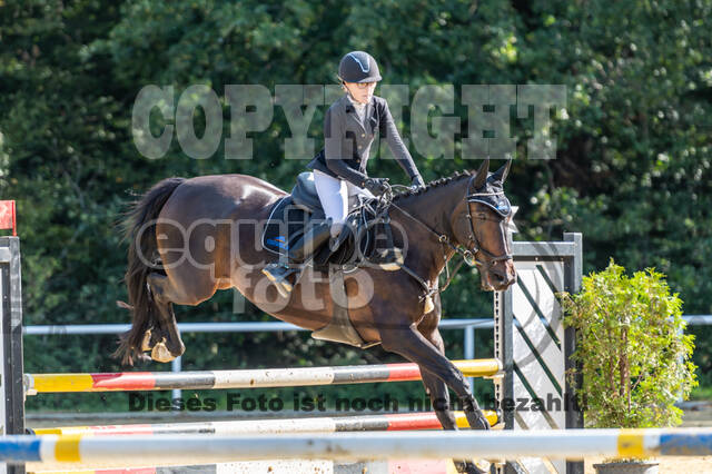 RFV Dinslaken-Hiesfeld (Herbstturnier)