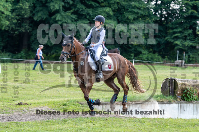 Goldene Schärpe 2021 - Ponys