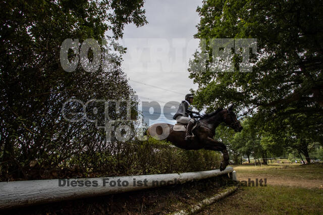 Late-Entry Vielseitigkeit Hamminkeln/Wesel (01.+02.08.2020)