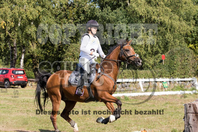 Vielseitigkeitsturnier RSV St. Hubertus Wesel Obrighoven