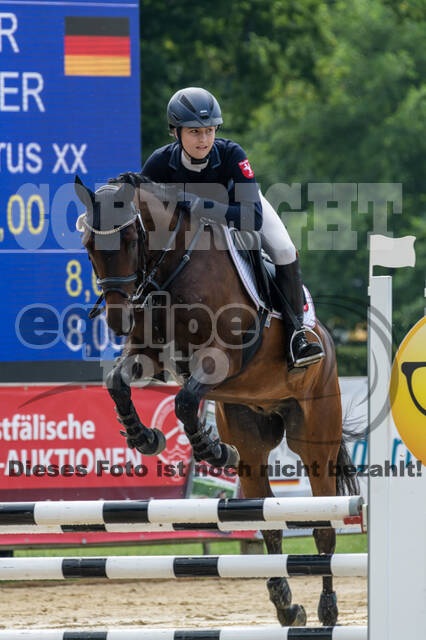 Goldene Schärpe 2021 - Ponys