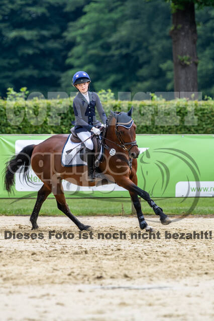Goldene Schärpe 2021 - Ponys