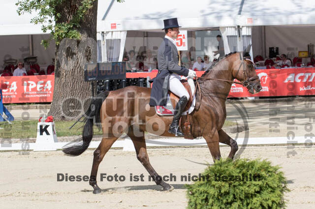 European Championship Eventing 2017