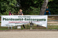 Landesturnier Rheinland, Vielseitigkeit, 22.+23.08.2020