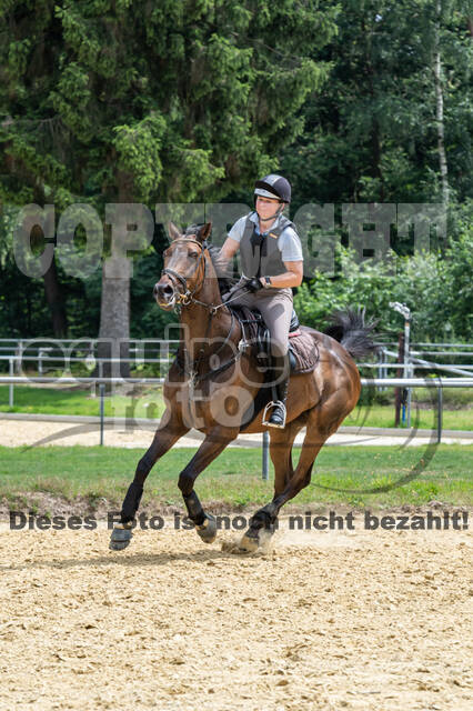 Hunter Geländetraining 10.07.2021 (Sonsbeck)