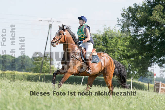 Vielseitigkeitsturnier ZRuFV von Lützow Hamminkeln