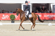 FEI European Championship Eventing 2017