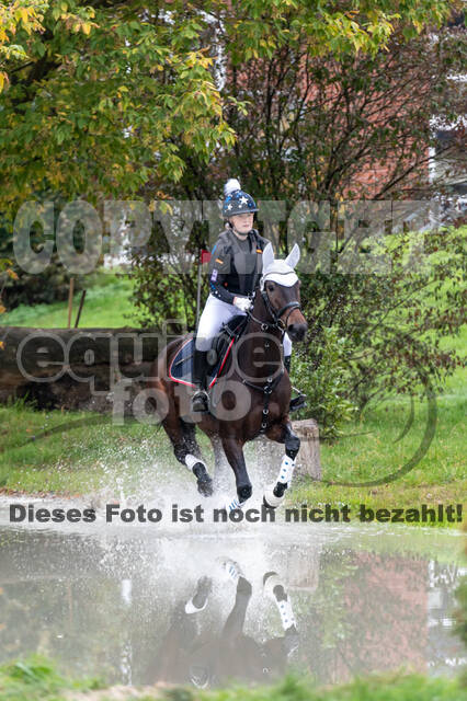 Goldene Schärpe 2020 - Pferde